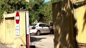 VIDEO Invazie de ploșnițe la centrele de arest ale Poliției Capitalei. Polițiști mușcați și traume acasă